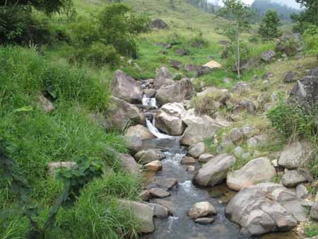 Beautiful Meeriabedda